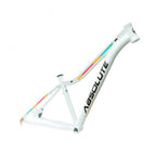 QUADRO 29 ABSOLUTE MTB MIA 3 - 2023