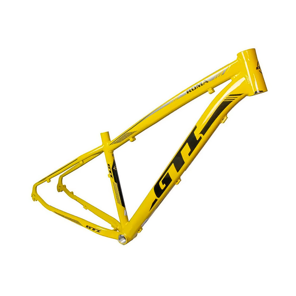 QUADRO 29 GTI ROMA MTB