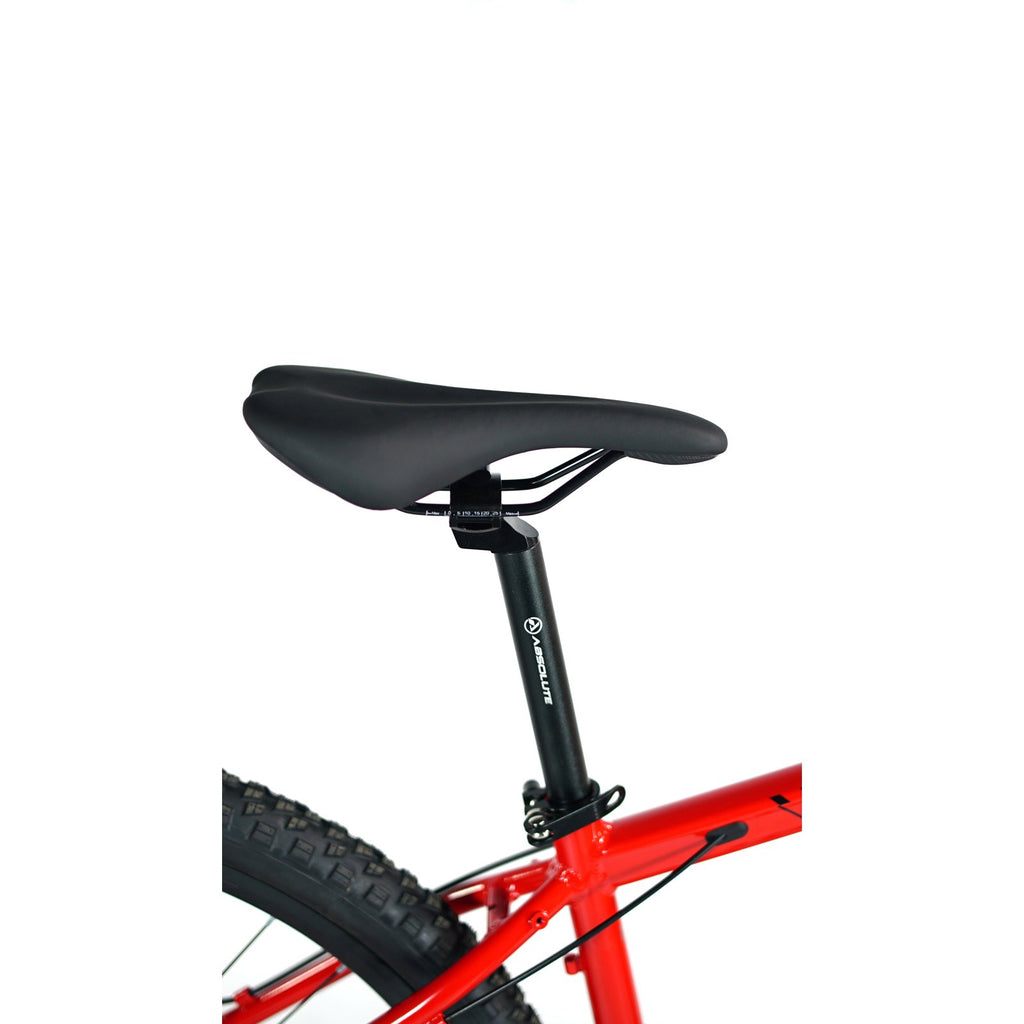 Bicicleta 29 Absolute Wild Team 12v Hidráulico C/ Manitou