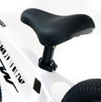 BICICLETA TSW BALANCE STEPS II 12