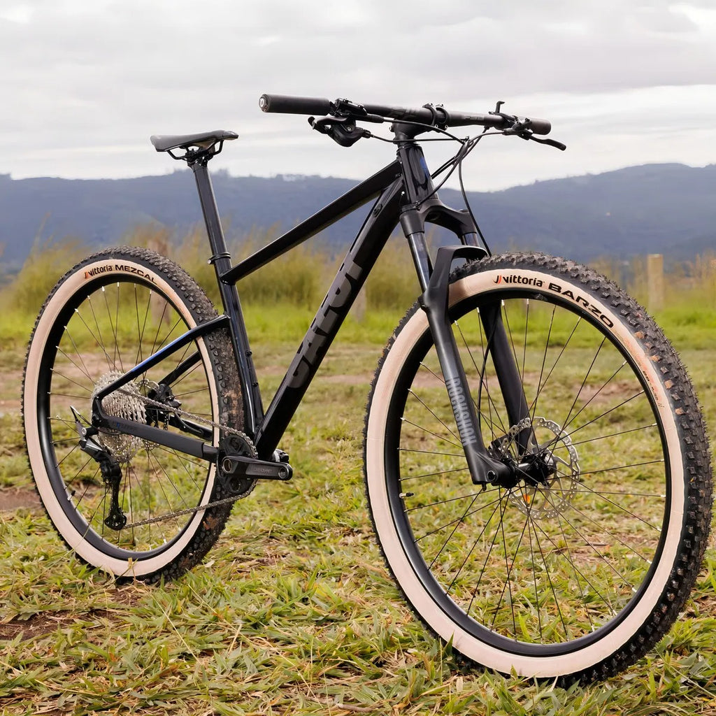 Bicicleta 29 Caloi Explorer Evo Sl 2025 (lançamento)