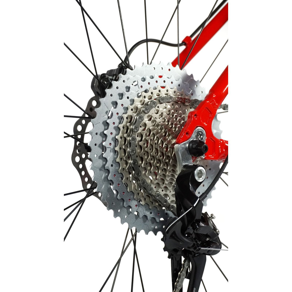 Bicicleta 29 Absolute Wild Pro 12v Hidráulico C/ Trava