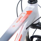 Bicicleta 29 Tsw Hurry Pro Limited 22v Shimano Slx/Xt