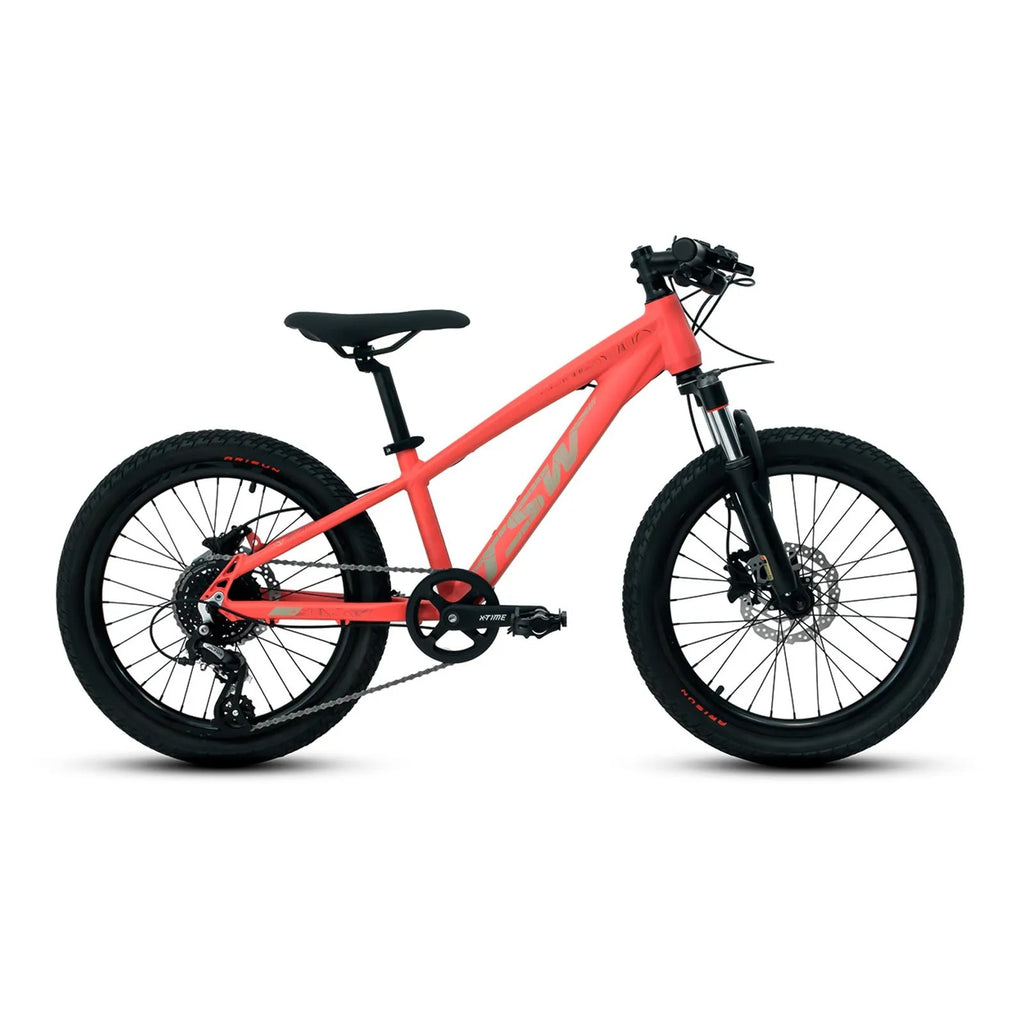 Bicicleta 20 Tsw Hunch 8v