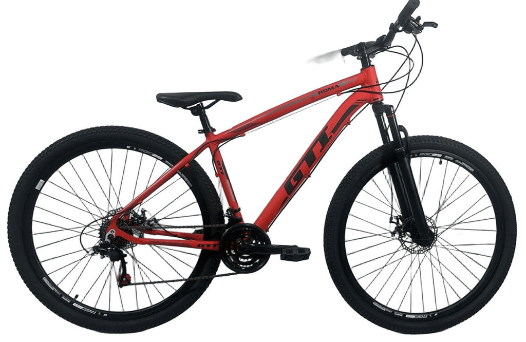 Bicicleta Aro 29 Gti Roma Mtb
