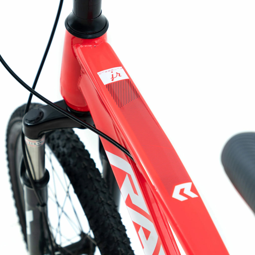 Bicicleta 20 Rava Pressure Jr 7v