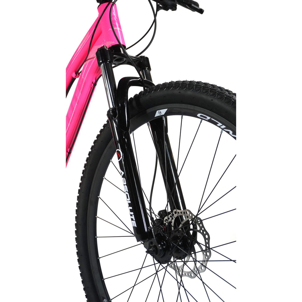 Bicicleta 29 Absolute Hera 2x9v A5 C/ Hidráulico Feminina