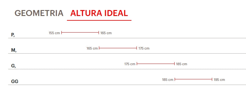 BICICLETA 29 CALOI FS CARBON SRAM NX LANÇAMENTO