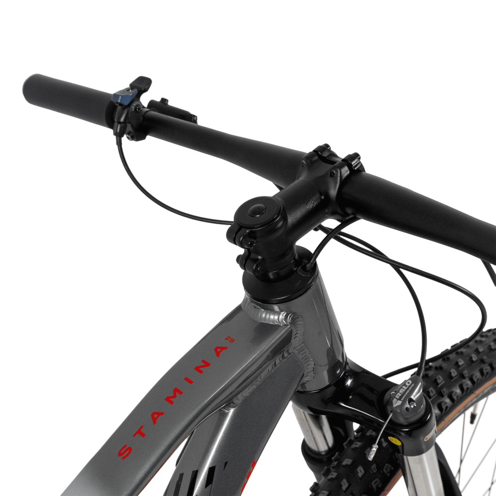 BICICLETA 29 TSW STAMINA BOOST SR 9V SHIMANO CUES U4000 2024