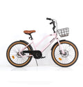BICICLETA URBAN ELLY ARO 20 COM CESTA ROSA/PRETA