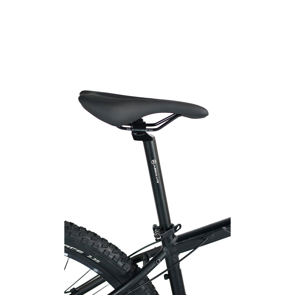 Bicicleta 29 Absolute Wild Team 12v Hidráulico C/ Manitou