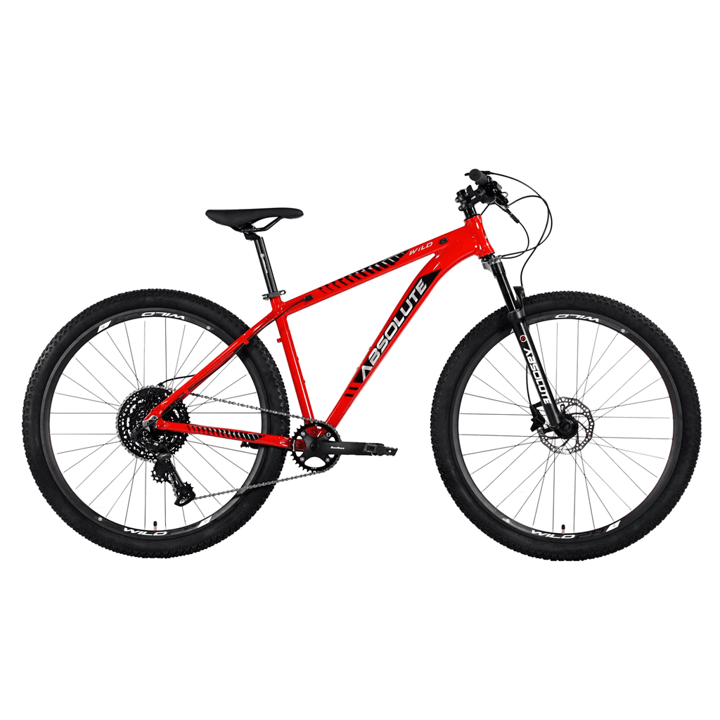 Bicicleta 29 Absolute Wild Elite 1x9v C/ Hidráulico