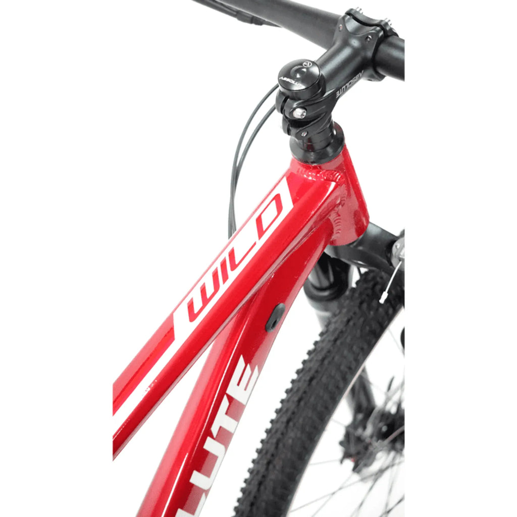 BICICLETA 29 ABSOLUTE WILD BOOST ELITE 12V C/ HIDRÁULICO VERMELHO (M-17)