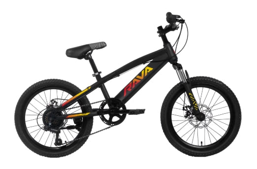 Bicicleta 20 Rava Pressure Jr 7v