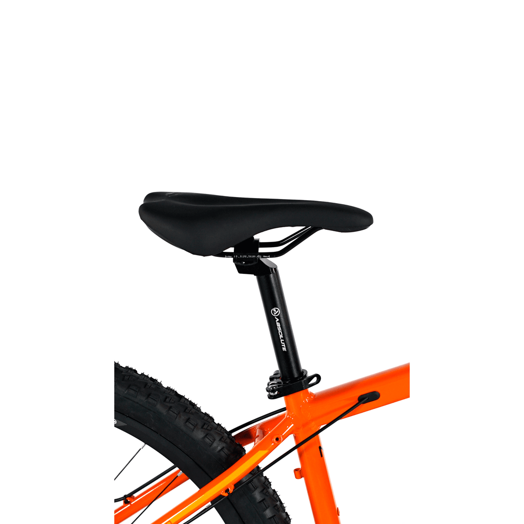 BICICLETA 29 ABSOLUTE NERO 4 TEAM 12V HIDRÁULICO C/ MANITOU