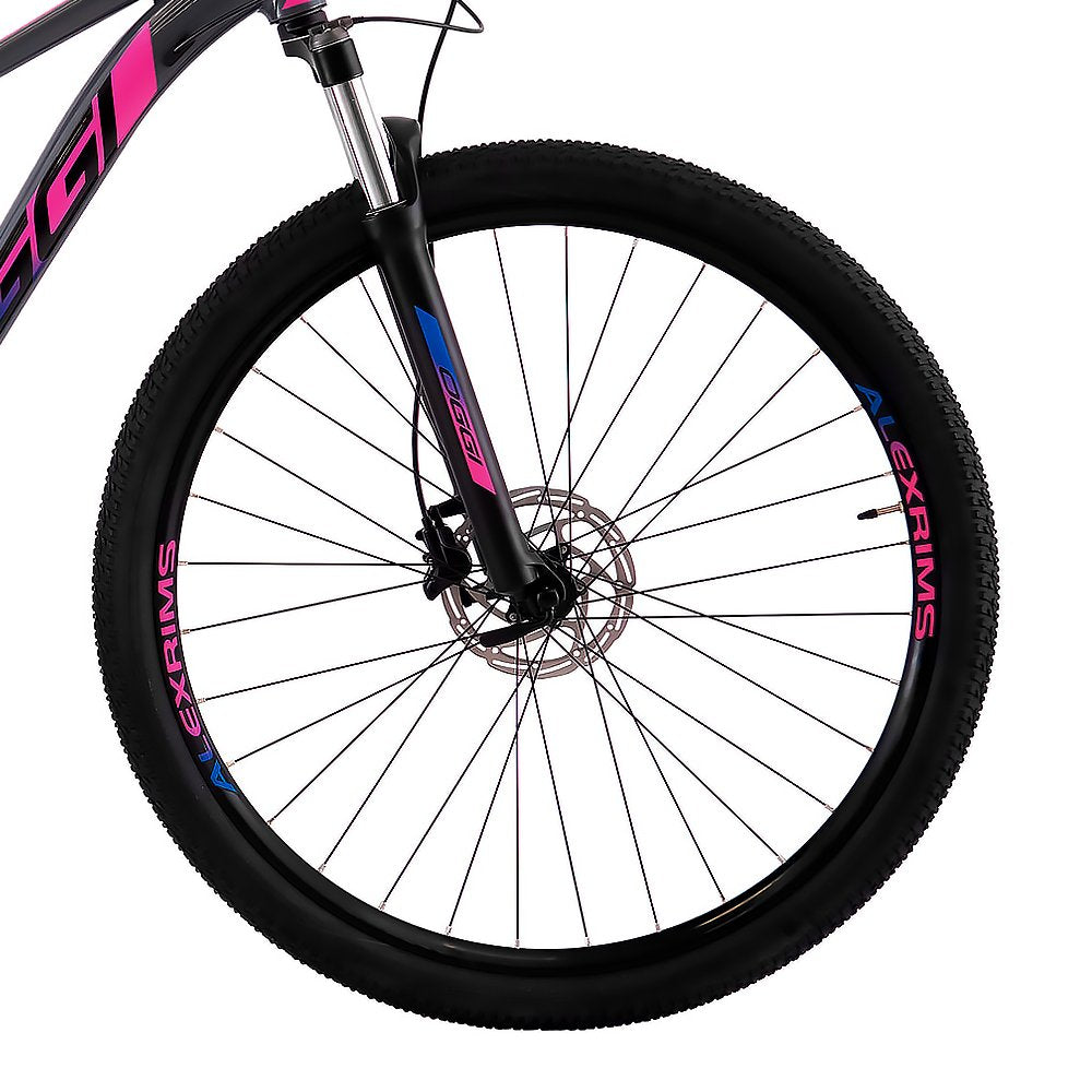Bicicleta 29 Oggi Big Wheel 7.0 Alivio 2x9v (2022/2023)