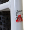 Bicicleta 29 E-Bike Eletrica Caloi E Vibe Explorer