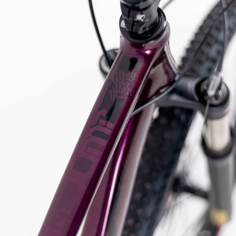 Bicicleta 29 Tsw Jump 27v Shimano Alivio