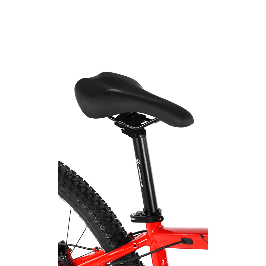 Bicicleta 29 Absolute Wild Elite 1x9v C/ Hidráulico