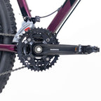 Bicicleta 29 Tsw Jump 27v Shimano Alivio