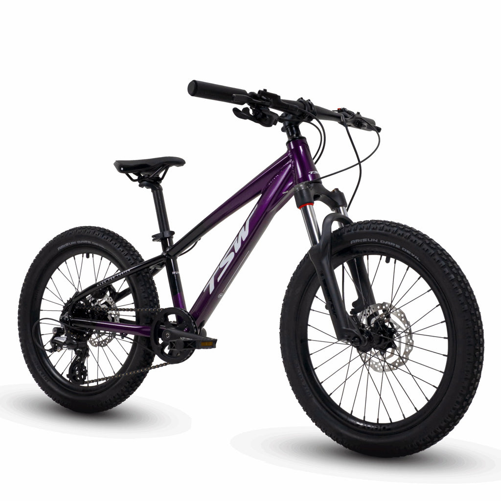 BICICLETA 20 TSW HUNCH 8V
