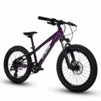 BICICLETA 20 TSW HUNCH 8V