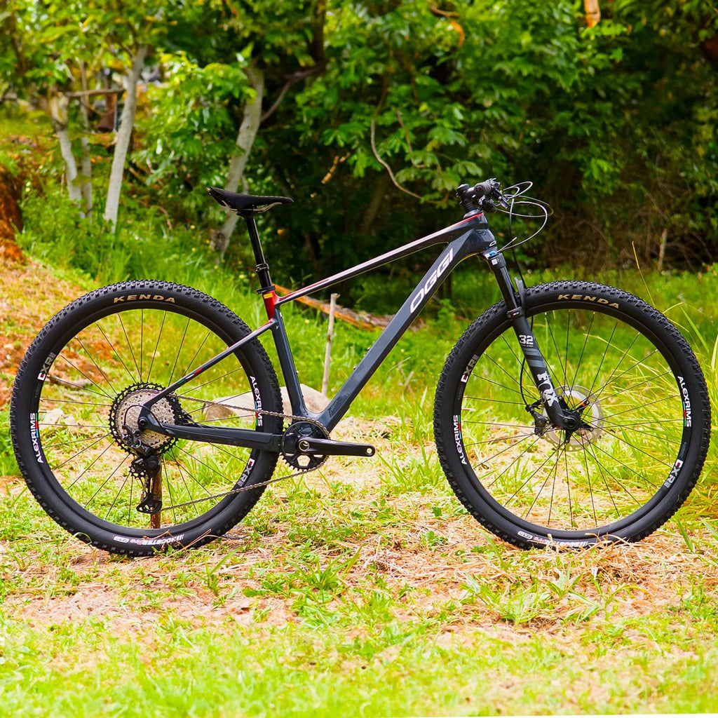 Bicicleta 29 Oggi Agile Pro Carbon Xt 12v 2024