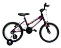 BICICLETA 16 AÇO FEMININO SAMY C/ RODA LATERAL E ARO ALUMÍNIO VIOLETA