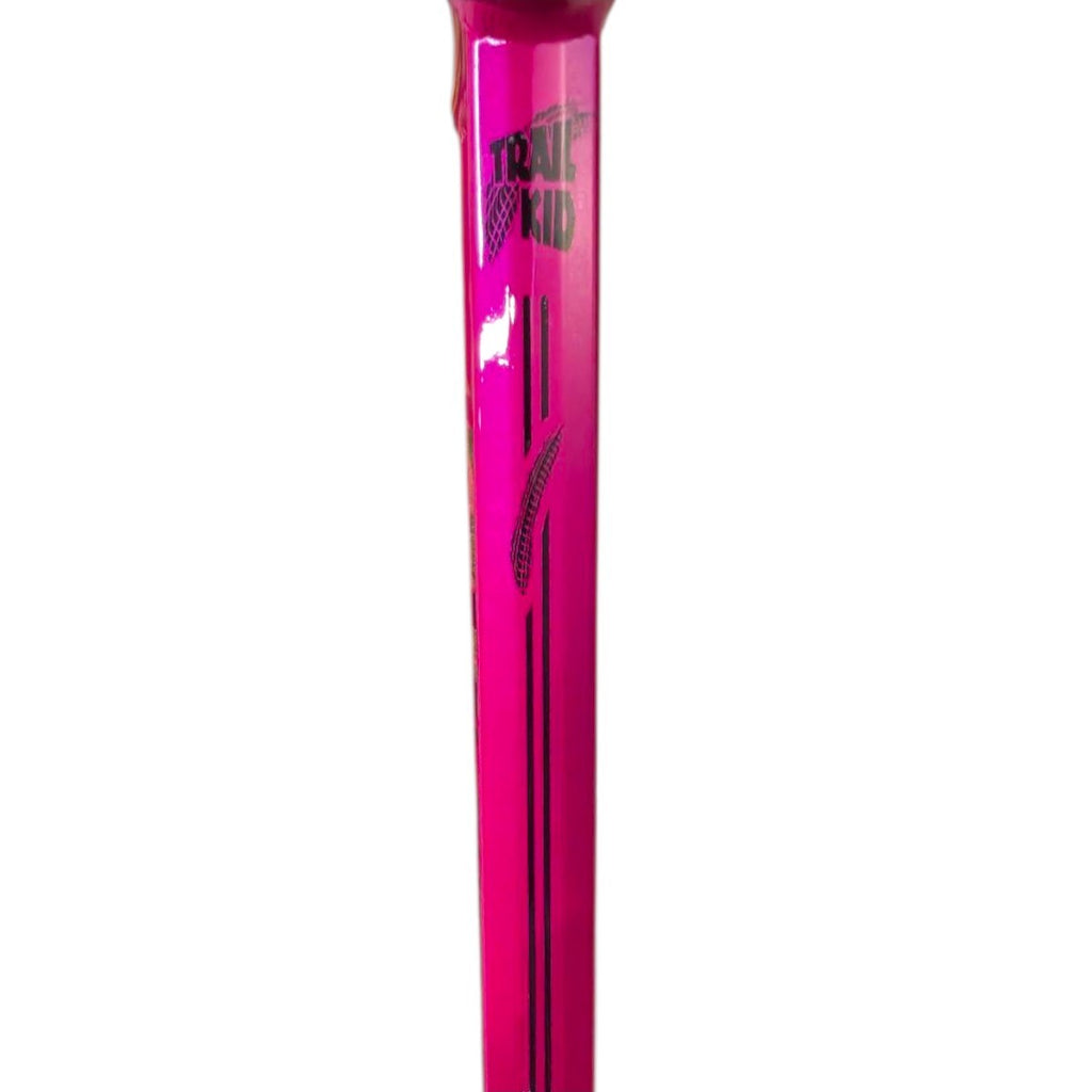 QUADRO 24 VELOFORCE FREIO A DISCO ALUMÍNIO PINK NEON