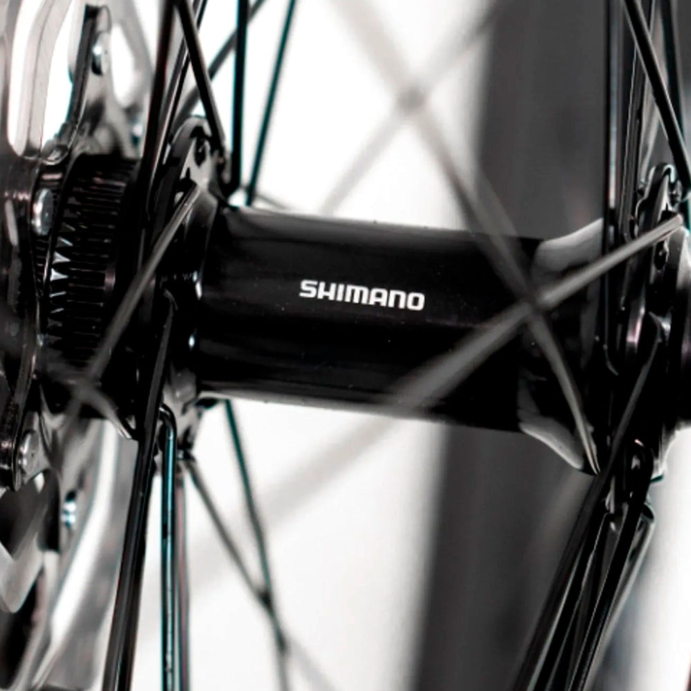 BICICLETA 29 TSW STAMINA BOOST SR 9V SHIMANO CUES U4000 2024