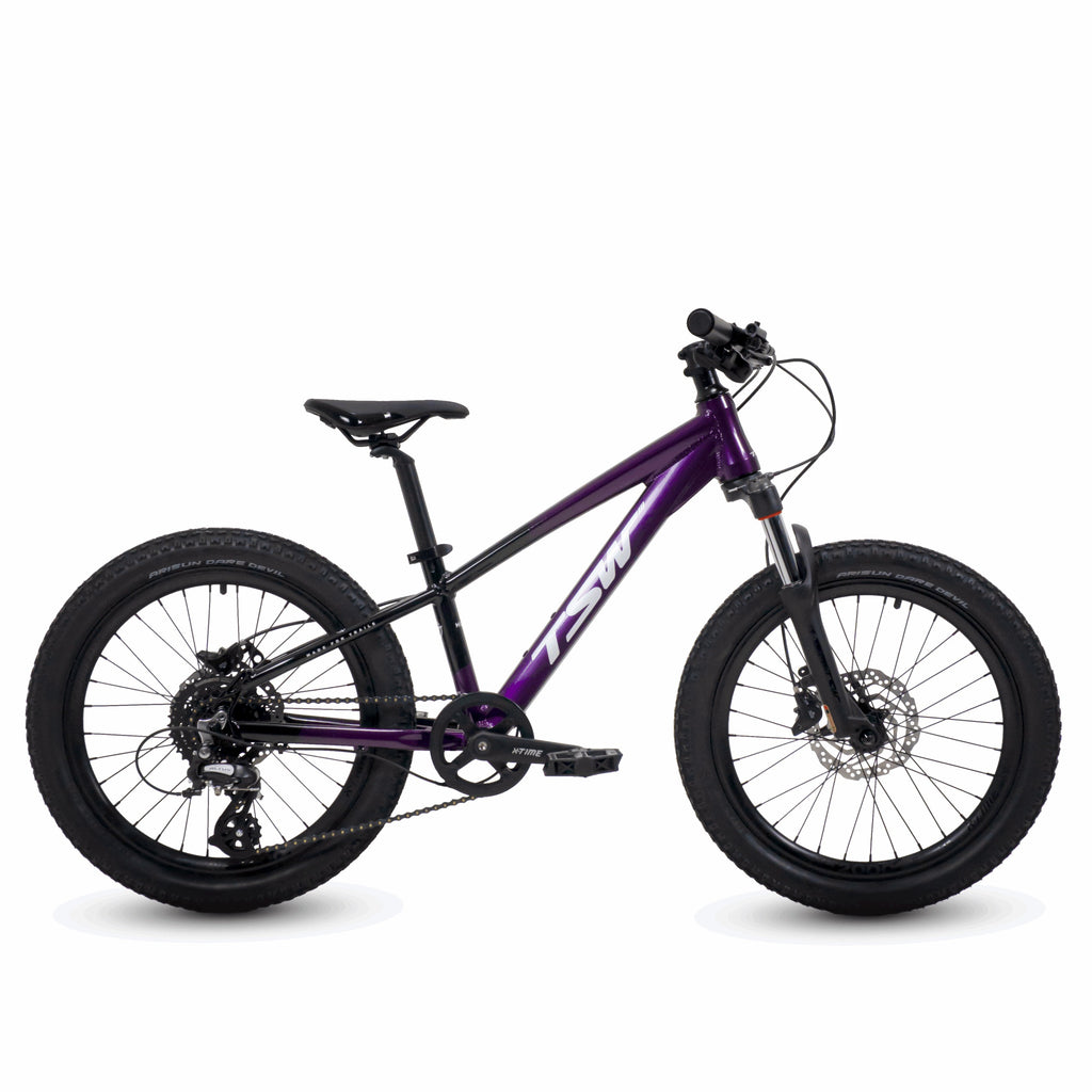 Bicicleta 20 Tsw Hunch 8v