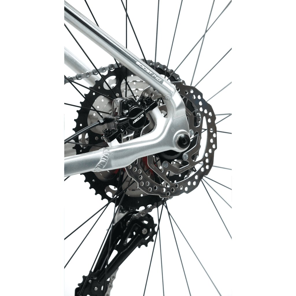 BICICLETA 29 ABSOLUTE WILD BOOST ELITE 12V C/ HIDRÁULICO POLIDO (S - 15)