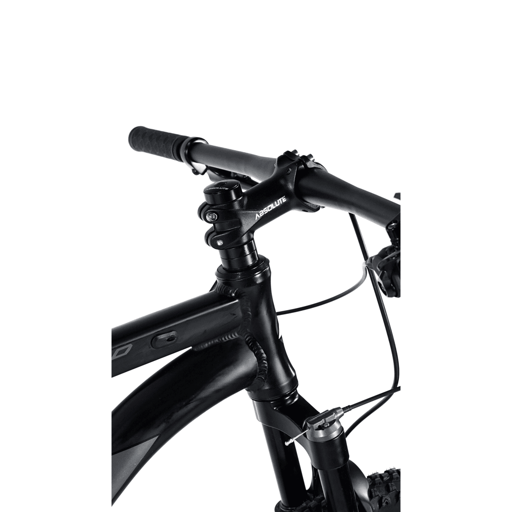 Bicicleta 29 Absolute Wild Elite 1x9v C/ Hidráulico